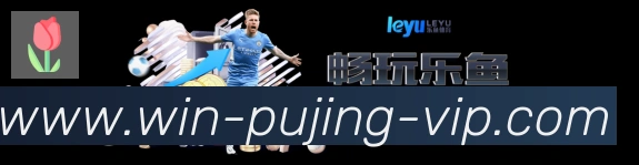 App界面